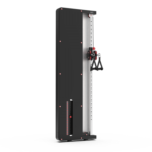 H1